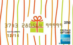 AmexGiftCard2010 Metrocenter Mall American Express Prepaid Gift Card
